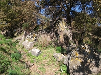 nte Mojo-30122011 109